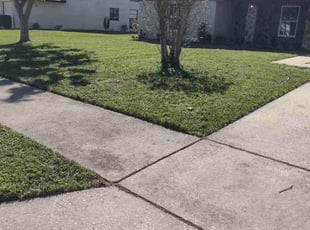 Vanessa V.'s Lawn Mowing service result