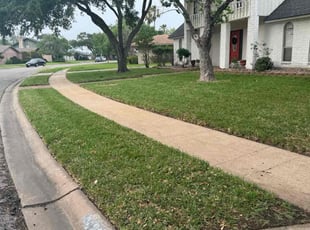 Melissa S.'s Lawn Care service result