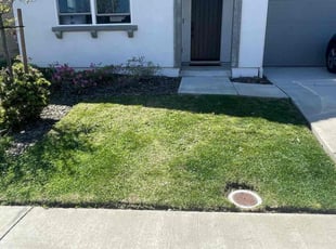 Jeanne L.'s Lawn Mowing service result