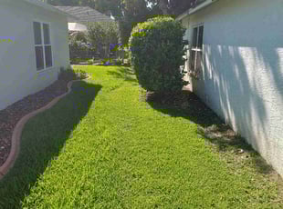 Jennifer N.'s Lawn Mowing Service service result