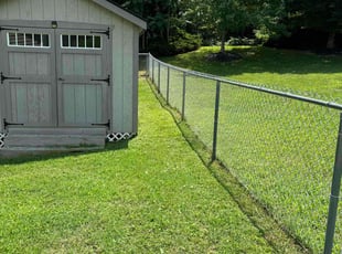 Tiberiu S.'s Grass Cutting service result