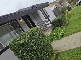 Bush Trimming by Juan Rodriguez for Brian B. in North Highlands, CA