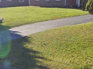 Celena N.'s Lawn Service service result