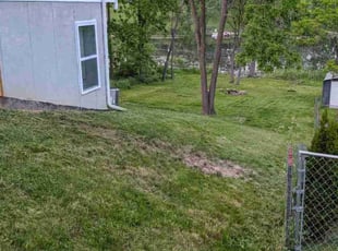 Michael D.'s Lawn Mowing Service service result