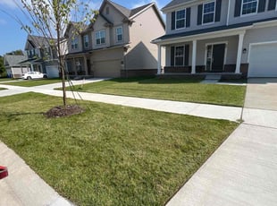 Aijaz D.'s Lawn Maintenance service result