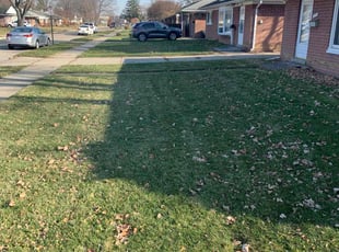Leaf Removal by Kyle Yacko for Mudassir S. in Madison Heights, MI