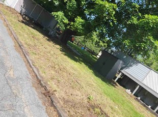 Leaf Removal by Dell Cody for Santa R. in Northampton, PA