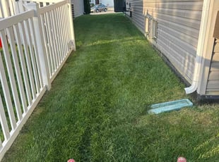Thomas B.'s Lawn Mowing service result