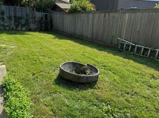 Lyn C.'s Grass Cutting service result