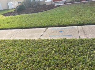Tom L.'s Lawn Mowing service result