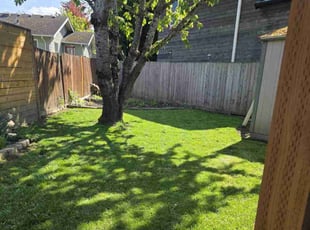 Joy Elizabeth G.'s Lawn Mowing service result
