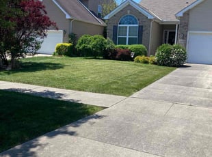 Doug S.'s Lawn Mowing Service service result