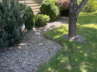 Bush Trimming by Joseph Fullner for Altavia J. in Lacey, WA