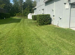 Bush Trimming by Josh Larew for Danielle -. in Orlando, FL