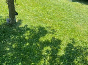 Ken S.'s Lawn Mowing service result