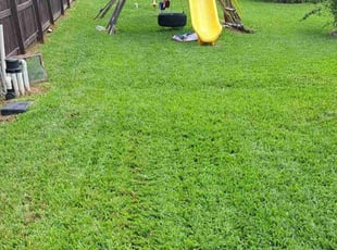 Emilie V.'s Lawn Care service result