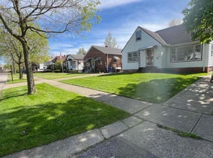 brandon F.'s Lawn Mowing service result