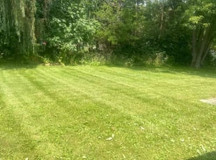 Sarah B.'s Lawn Care service result