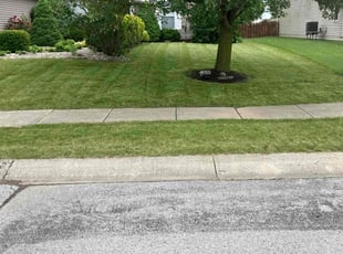 Josh F.'s Grass Cutting service result