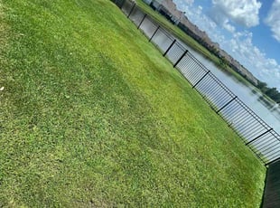 Steven T.'s Yard Cutting service result
