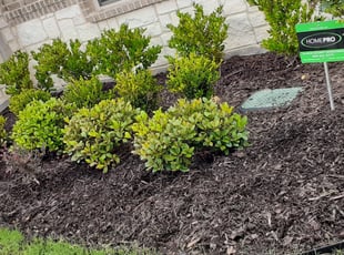 Weeding by Juan Bosquez for Travis M. in Heath, TX