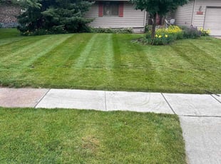 Robin B.'s Lawn Care service result