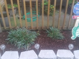 Landscaping by Kenneth Isw for Jaykob L. in Virginia Beach, VA