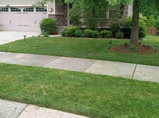 Mark S.'s Lawn Care service result