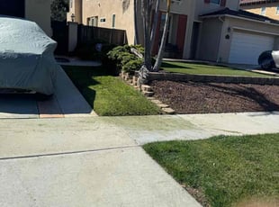 Griselda N.'s Lawn Service service result