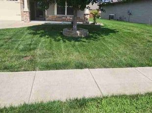 Jeanette L.'s Lawn Service service result