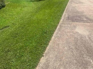 Sue B.'s Lawn Service service result