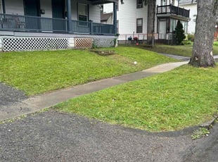 Courtney g.'s Lawn Care service result
