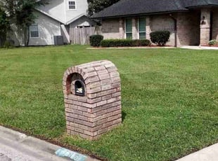 Chad S.'s Lawn Care service result