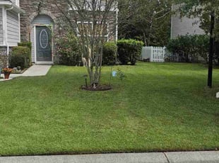 Susan H.'s Lawn Care service result