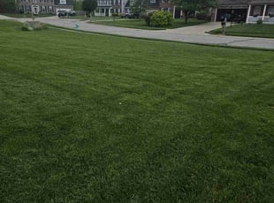 Josh G.'s Lawn Care service result