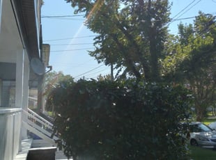 Bush Trimming by Marvin White for Janeih B. in Norfolk, VA