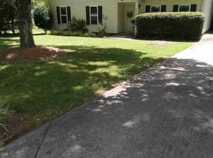 Marcia M.'s Grass Cutting service result