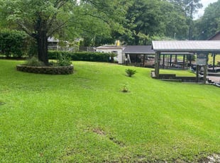 Patty H.'s Yard Cutting service result