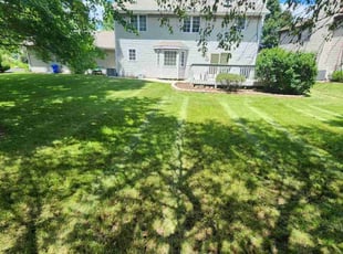 Tammy T.'s Lawn Mowing service result