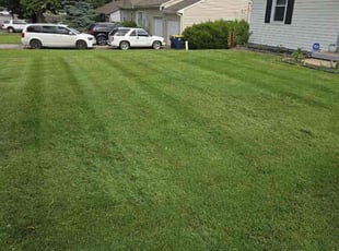 Shawn M.'s Lawn Service service result