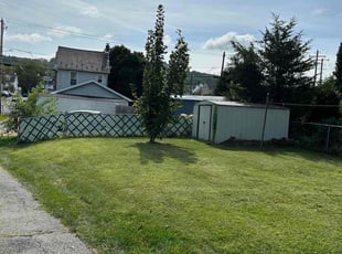 Erin S.'s Lawn Mowing service result
