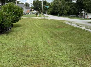 Richard I.'s Lawn Service service result