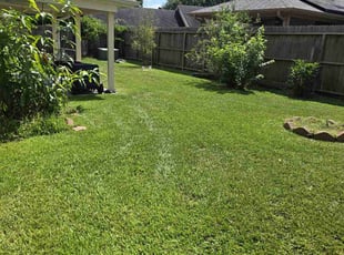 George S.'s Yard Cutting service result
