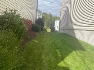 Micki R.'s Grass Cutting service result