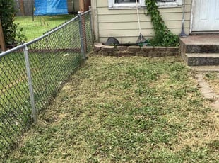 Ann G.'s Lawn Care service result