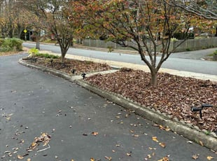 Leaf Removal by Christopher Chase for Stephen S. in Roslindale, MA