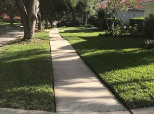 Carol R.'s Lawn Mowing service result