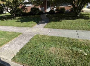 Evan L.'s Lawn Mowing Service service result