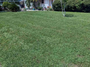 Jimmy S.'s Lawn Care service result