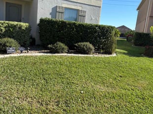 Bush Trimming by Genet Rena for Randolph P. in Orlando, FL